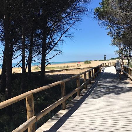 Appartamenti Furlan Bibione Kültér fotó
